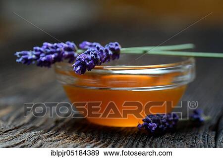 Lavender honey and lavender flowers, lavender honey( Lavandula spec. ), bee honey View Large Photo Image Stock Photo - Lavender honey and lavender flowers, lavender honey( Lavandula spec. ), bee honey. Fotosearch