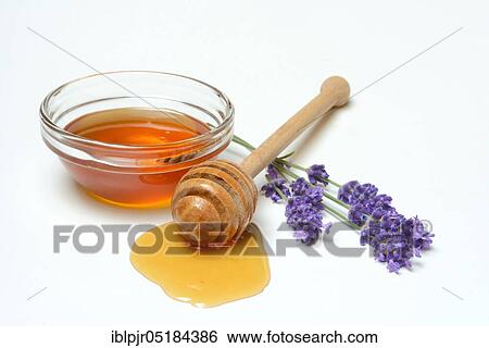 Stock Photograph - Lavender honey and lavender flowers, lavender honey( Lavandula spec. ), bee honey. Fotosearch