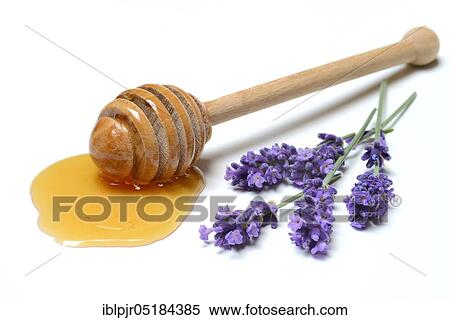 Stock Photography - Lavender honey and lavender flowers, lavender honey( Lavandula spec. ), bee honey. Fotosearch