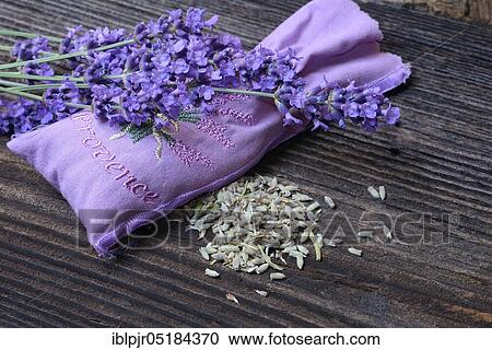 Lavender( Lavandula angustifolia), dried lavender flowers, scented sachets, lavender bags, lavender scent, lavender aroma View Large Photo Image Stock Image - Lavender( Lavandula angustifolia), dried lavender flowers, scented sachets, lavender bags, lavender scent, lavender aroma. Fotosearch