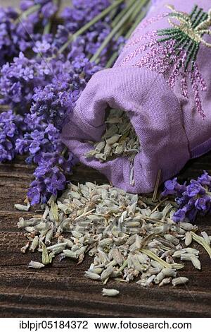 Lavender( Lavandula angustifolia), dried lavender flowers, scented sachets, lavender bags, lavender scent, lavender aroma View Large Photo Image Stock Image - Lavender( Lavandula angustifolia), dried lavender flowers, scented sachets, lavender bags, lavender scent, lavender aroma. Fotosearch