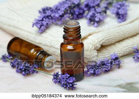 Lavender scented oil, Lavender oil, Scent oil, Aromatherapy View Large Photo Image Picture - Lavender scented oil, Lavender oil, Scent oil, Aromatherapy. Fotosearch