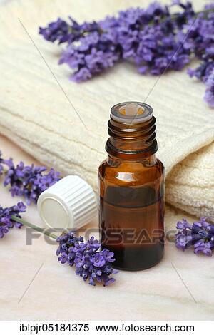 Lavender scented oil, Lavender oil, Scent oil, Aromatherapy View Large Photo Image Stock Photography - Lavender scented oil, Lavender oil, Scent oil, Aromatherapy. Fotosearch
