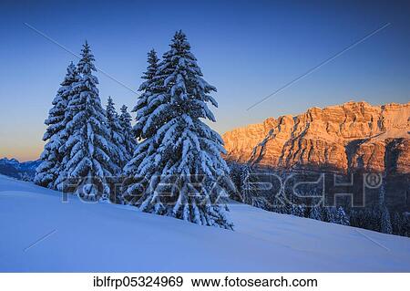 Leistchamm, St. Gallen, Switzerland, Europe View Large Photo Image Stock Photo - Leistchamm, St. Gallen, Switzerland, Europe. Fotosearch