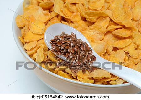 Linseed ( Linum usitatissimum) in spoon and bowl with cornflakes View Large Photo Image Stock Image - Linseed ( Linum usitatissimum) in spoon and bowl with cornflakes. Fotosearch