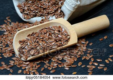 Linseed ( Linum usitatissimum) with wooden shovel, linseed, seed linen View Large Photo Image Picture - Linseed ( Linum usitatissimum) with wooden shovel, linseed, seed linen. Fotosearch