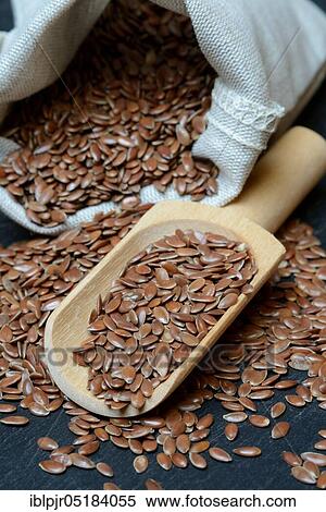 Stock Photography - Linseed ( Linum usitatissimum) with wooden shovel, linseed, seed linen. Fotosearch