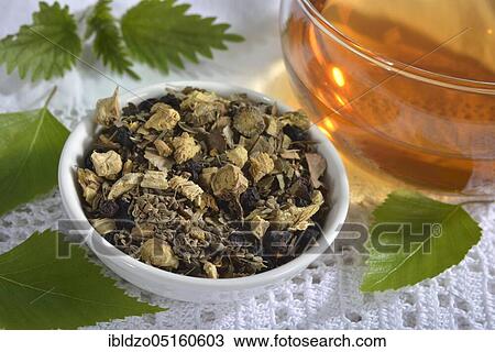 Liquorice (Glycyrrhiza glabra), liquorice, birch leaves, nettle leaves, aniseed fruit (Pimpinella anisum) Blueberry (Betula pendula) (Urtica dioica) (Vaccinium myrtillus) View Large Photo Image Stock Image - Liquorice (Glycyrrhiza glabra), liquorice, birch leaves, nettle leaves, aniseed fruit (Pimpinella anisum) Blueberry (Betula pendula) (Urtica dioica) (Vaccinium myrtillus). Fotosearch