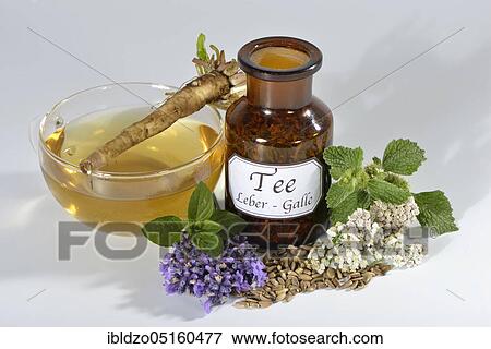 Liver and gall tea (dandelion root) Lavender flowers, milk thistle fruit (Silybum marianum), peppermint leaves, peppermint, yarrow, horehound, Benedictine herb, Benedictine root, Benedictine thistle (Lavandula angustifolia), Taraxacum officin View Large Photo Image Stock Photo - Liver and gall tea (dandelion root) Lavender flowers, milk thistle fruit (Silybum marianum), peppermint leaves, peppermint, yarrow, horehound, Benedictine herb, Benedictine root, Benedictine thistle (Lavandula angustifolia), Taraxacum officin. Fotosearch