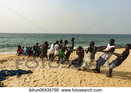 Stock Image - Local fishermen pulling their nets on a beach in Robertsport, Liberia, Africa. Fotosearch