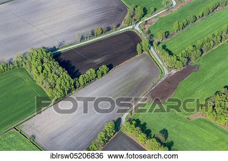 Stock Photograph - Lohne, County of Vechta, Lower Saxony, Germany, Europe. Fotosearch