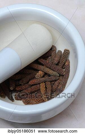 Long, red Kampot pepper in a grating bowl, Kampot pepper, Cambodia, Asia View Large Photo Image Stock Image - Long, red Kampot pepper in a grating bowl, Kampot pepper, Cambodia, Asia. Fotosearch
