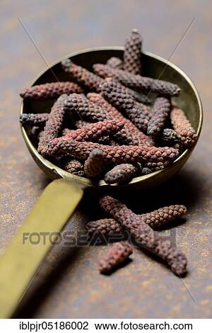 Stock Image - Long, red Kampot pepper in brass ladle, Kampot pepper, Cambodia, Asia. Fotosearch