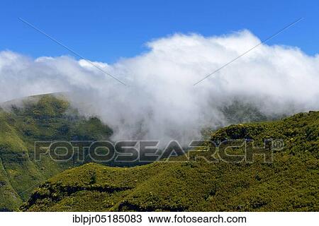 Stock Image - Madeira Island, Portugal, Europe. Fotosearch