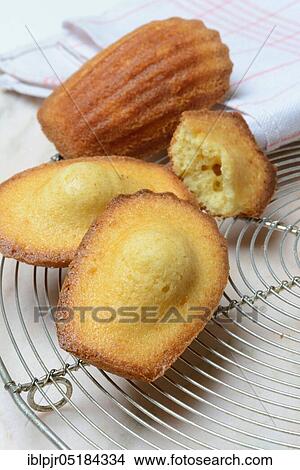Picture - Madeleines on cake grid. Fotosearch