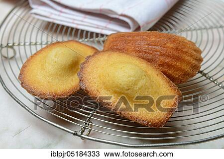 Stock Image - Madeleines on cake grid. Fotosearch