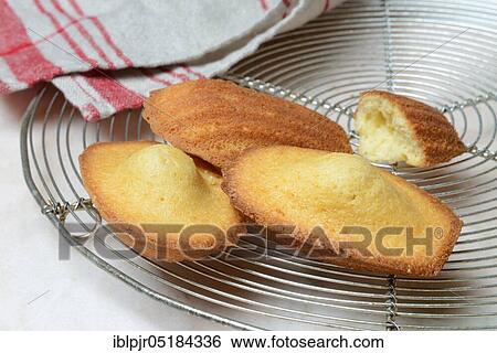Stock Photograph - Madeleines on cake grid. Fotosearch
