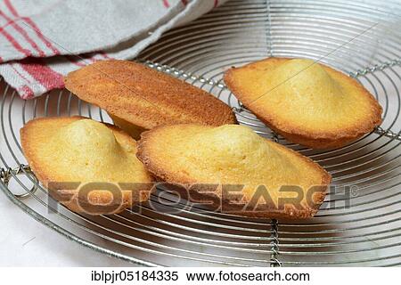 Stock Photography - Madeleines on cake grid. Fotosearch