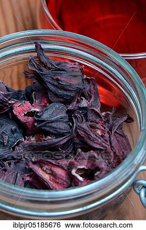 Stock Photograph - Mallow tea ( Hibiscus sabdariffa) dried flowers in glass, hibiscus tea. Fotosearch