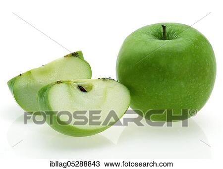 Malus domestica, cultivated apple (Malus domestica), apple, apples, rosaceae, Granny Smith View Large Photo Image Stock Image - Malus domestica, cultivated apple (Malus domestica), apple, apples, rosaceae, Granny Smith. Fotosearch