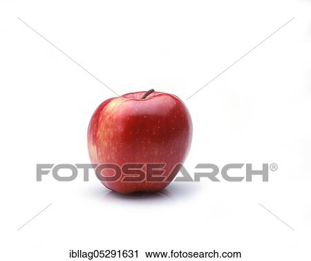 Stock Image - Malus domestica, cultivated apple, apple, rose family, PINK LADY APPLE malus domestica against white background. Fotosearch
