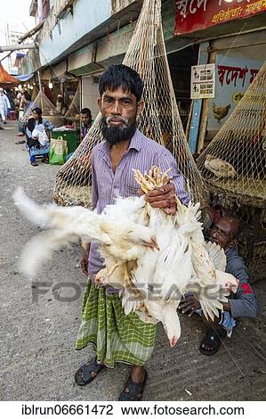 Man holding many chickens, Chicken market, Kawran Bazar, Dhaka, Bangladesh, Asia View Large Photo Image Stock Image - Man holding many chickens, Chicken market, Kawran Bazar, Dhaka, Bangladesh, Asia. Fotosearch
