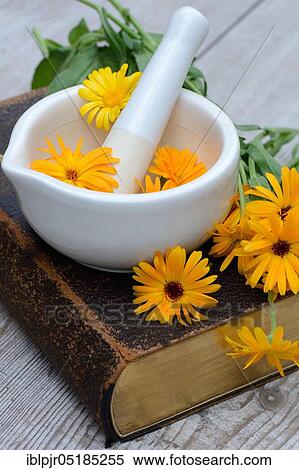 Stock Photography - Marigolds ( Calendula officinalis) on old book with mortar. Fotosearch