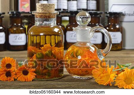 Picture - Marigolds (Calendula officinalis), marigold oil. Fotosearch