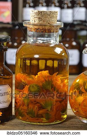 Marigolds (Calendula officinalis), marigold oil View Large Photo Image Stock Photograph - Marigolds (Calendula officinalis), marigold oil. Fotosearch