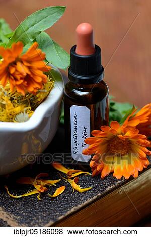 Marigoldstincture and blossoms, in rubbing bowl, on old book, -tincture View Large Photo Image Stock Photo - Marigoldstincture and blossoms, in rubbing bowl, on old book, -tincture. Fotosearch