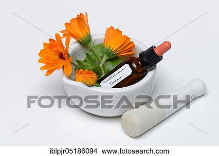 Picture - Marigoldstincture and flowers, in rubbing bowl, tincture. Fotosearch