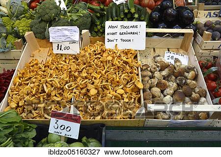 Market stall with mushrooms, chanterelles (Cantharellus cibarius), porcini (Boletus edulis), chanterelles, chanterelle, chanterelles, chanterelles, roe deer, porcini View Large Photo Image Stock Photo - Market stall with mushrooms, chanterelles (Cantharellus cibarius), porcini (Boletus edulis), chanterelles, chanterelle, chanterelles, chanterelles, roe deer, porcini. Fotosearch