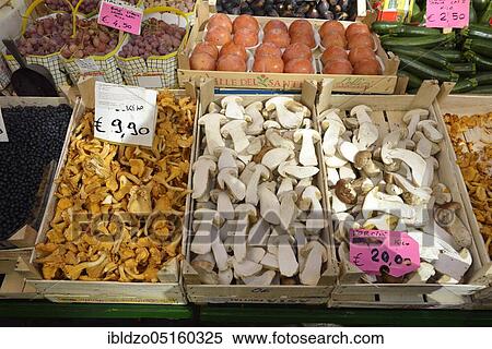 Market stall with mushrooms, chanterelles (Cantharellus cibarius), porcini (Boletus edulis), chanterelles, chanterelle, chanterelles, chanterelles, roe deer, porcini View Large Photo Image Stock Photography - Market stall with mushrooms, chanterelles (Cantharellus cibarius), porcini (Boletus edulis), chanterelles, chanterelle, chanterelles, chanterelles, roe deer, porcini. Fotosearch