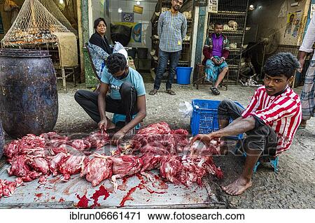 Men taking chicken apart, Chicken market, Kawran Bazar, Dhaka, Bangladesh, Asia View Large Photo Image Stock Image - Men taking chicken apart, Chicken market, Kawran Bazar, Dhaka, Bangladesh, Asia. Fotosearch