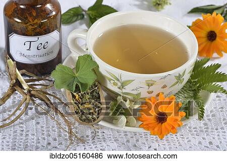 Stock Photograph - Menstrual cramps tea, calendula (Calendula officinalis), lady's mantle, goose cinquefoil, lemon balm leaves, lemon balm, peppermint leaves, peppermint, valerian root, valerian, deadnettle, deadnettle flowers (Alchemilla vulgaris), potentil. Fotosearch