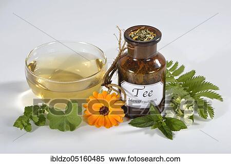 Menstrual cramps tea, calendula (Calendula officinalis), lady's mantle, goose cinquefoil, lemon balm leaves, lemon balm, peppermint leaves, peppermint, valerian root, valerian, deadnettle, deadnettle flowers (Alchemilla vulgaris), potentil View Large Photo Image Stock Photography - Menstrual cramps tea, calendula (Calendula officinalis), lady's mantle, goose cinquefoil, lemon balm leaves, lemon balm, peppermint leaves, peppermint, valerian root, valerian, deadnettle, deadnettle flowers (Alchemilla vulgaris), potentil. Fotosearch