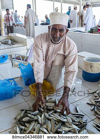 Merchant selling fresh fish, fish market, Barka, Oman, Asia View Large Photo Image Stock Image - Merchant selling fresh fish, fish market, Barka, Oman, Asia. Fotosearch