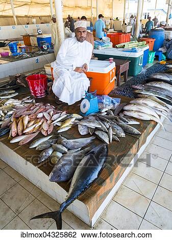 Merchant with various fish, fish market, Muttrah, Muscat, Oman, Asia View Large Photo Image Stock Image - Merchant with various fish, fish market, Muttrah, Muscat, Oman, Asia. Fotosearch