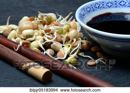 Mixed sprouts of lentils, mung beans and chickpeas, lentil sprouts, mung bean sprouts, chickpea sprouts, soy sauce View Large Photo Image Picture - Mixed sprouts of lentils, mung beans and chickpeas, lentil sprouts, mung bean sprouts, chickpea sprouts, soy sauce. Fotosearch
