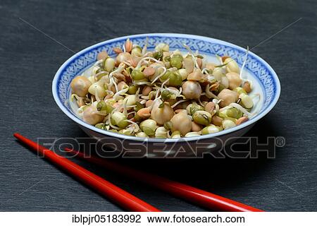 Mixed sprouts of lentils, mung beans and chickpeas, lentil sprouts, mung bean sprouts, chickpea sprouts View Large Photo Image Stock Image - Mixed sprouts of lentils, mung beans and chickpeas, lentil sprouts, mung bean sprouts, chickpea sprouts. Fotosearch