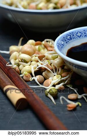 Mixed sprouts of lentils, mung beans and chickpeas, lentil sprouts, mung bean sprouts, chickpea sprouts, soy sauce View Large Photo Image Stock Photography - Mixed sprouts of lentils, mung beans and chickpeas, lentil sprouts, mung bean sprouts, chickpea sprouts, soy sauce. Fotosearch