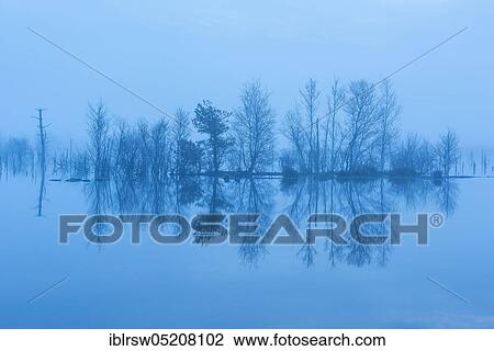 Stock Image - Moor at the blue hour, Goldenstedter Moor, Lower Saxony, Germany, Europe. Fotosearch