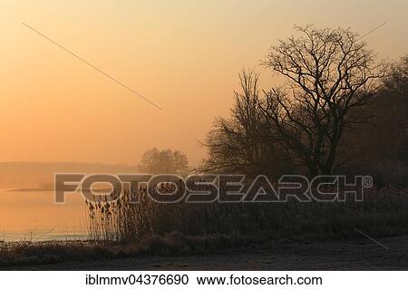Morning atmosphere in riverside forest, Middle Elbe Biosphere Reserve, Saxony-Anhalt, Germany, Europe View Large Photo Image Stock Image - Morning atmosphere in riverside forest, Middle Elbe Biosphere Reserve, Saxony-Anhalt, Germany, Europe. Fotosearch