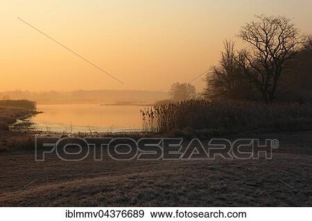 Stock Photo - Morning atmosphere in riverside forest, Middle Elbe Biosphere Reserve, Dessau-Rosslau, Saxony-Anhalt, Germany, Europe. Fotosearch