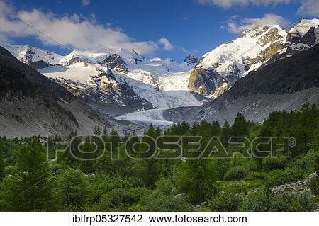 Stock Image - Morteratsch valley, Piz Palue, 3905 m, Piz Bernina, 4049 m, Bianco ridge, Morteratsch glacier, Graubuenden, Upper Engadine, Switzerland, Europe. Fotosearch