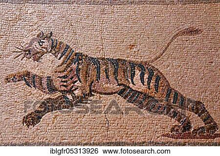 Mosaic Racing Tiger, Pafos, House of Dionysus, the Southern Porticus, Room 12, Archaeological Park, Paphos, Republic of Cyprus View Large Photo Image Stock Photograph - Mosaic Racing Tiger, Pafos, House of Dionysus, the Southern Porticus, Room 12, Archaeological Park, Paphos, Republic of Cyprus. Fotosearch