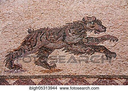 Mosaic running bear, Pafos, House of Dionysus, the Eastern Porticus, Room 11, Archaeological Park, Paphos, Republic of Cyprus View Large Photo Image Picture - Mosaic running bear, Pafos, House of Dionysus, the Eastern Porticus, Room 11, Archaeological Park, Paphos, Republic of Cyprus. Fotosearch