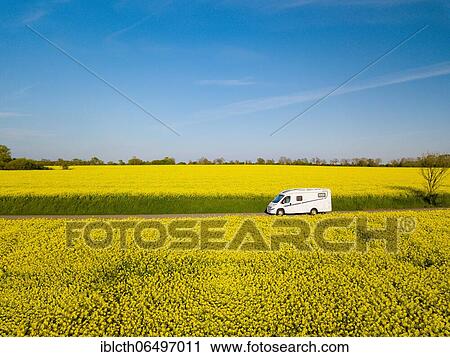 Motorhome driving on country road through blooming rape field, Fehmarn, Schleswig-Holstein, Germany, Europe View Large Photo Image Stock Image - Motorhome driving on country road through blooming rape field, Fehmarn, Schleswig-Holstein, Germany, Europe. Fotosearch