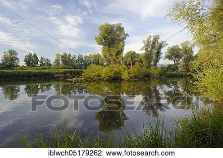 Mouth of the Prien into the Chiemsee, morning, July, Prien, Chiemgau, Bavaria, Germany, Europe View Large Photo Image Stock Image - Mouth of the Prien into the Chiemsee, morning, July, Prien, Chiemgau, Bavaria, Germany, Europe. Fotosearch