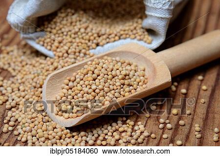 Stock Image - Mustard, mustard seeds with wooden shovel, mustard seed. Fotosearch